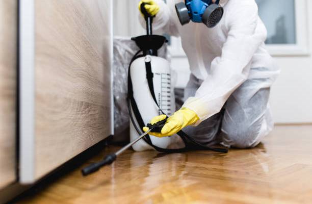 Understanding the Difference Between Pest Control and Extermination