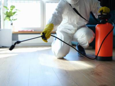 The Three Basic Pest Control Rules and Why They&nbsp;Matter