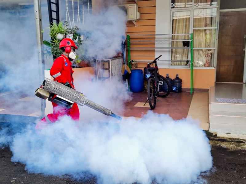 What Are Commercial Pest Control&nbsp;Services?