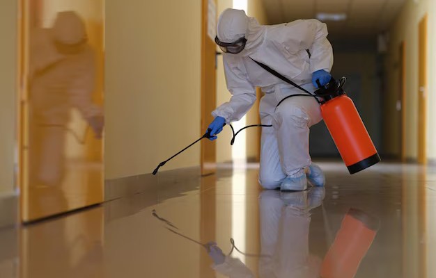 Why Do Most Businesses Use Ongoing Pest Control Instead of Calling Only When There’s a Problem